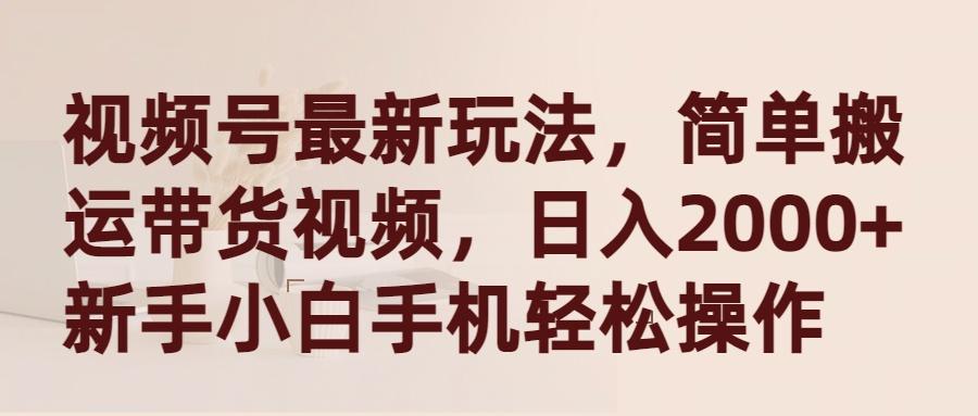 (9486期)视频号最新玩法，简单搬运带货视频，日入2000+，新手小白手机轻松操作-泡泡网赚