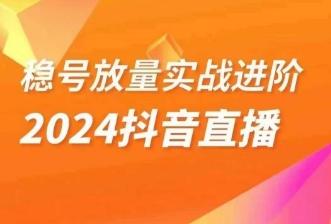 稳号放量实战进阶—2024抖音直播，直播间精细化运营的几大步骤-泡泡网赚