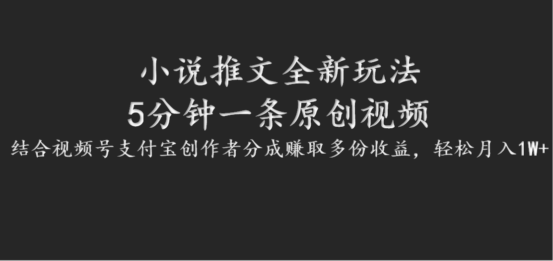 小说推文全新玩法，5分钟一条原创视频，结合视频号支付宝创作者分成赚取多份收益-泡泡网赚
