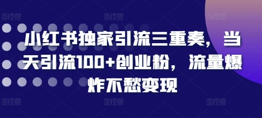 小红书独家引流三重奏，当天引流100+创业粉，流量爆炸不愁变现【揭秘】-泡泡网赚