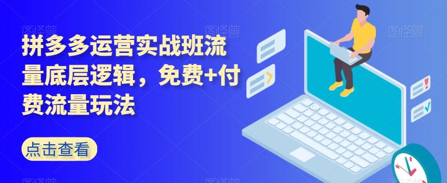 拼多多运营实战班流量底层逻辑，免费+付费流量玩法-泡泡网赚