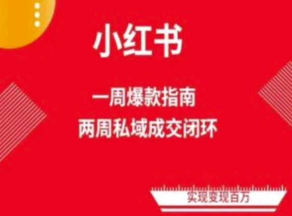 爆款小红书免费流量体系课程(两周变现)，小红书电商教程-泡泡网赚