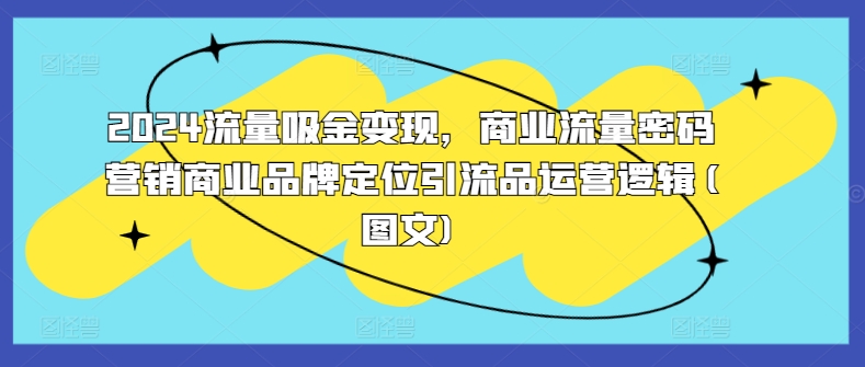 2024流量吸金变现，商业流量密码营销商业品牌定位引流品运营逻辑(图文)-泡泡网赚