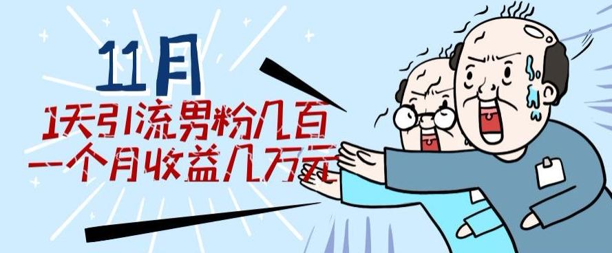 11月最新每天引流男粉300+一个月收益几万元-泡泡网赚