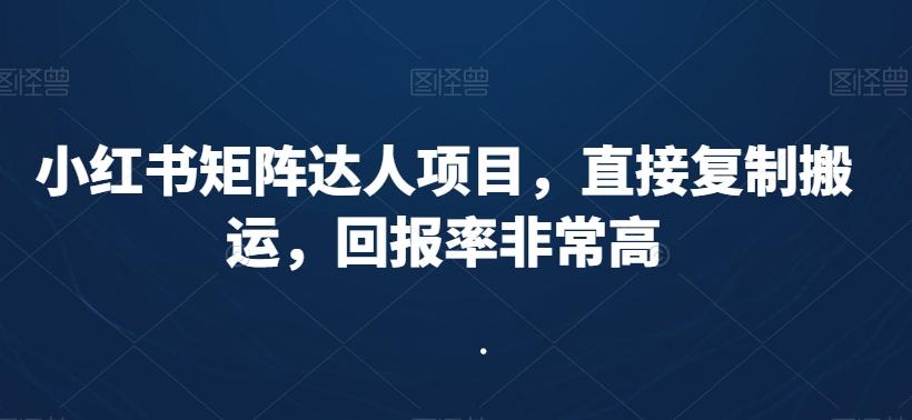 小红书矩阵达人项目，直接复制搬运，回报率非常高-泡泡网赚