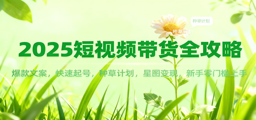 2025短视频带货全攻略：爆款文案，快速起号，种草计划，星图变现，新手零门槛上手-泡泡网赚