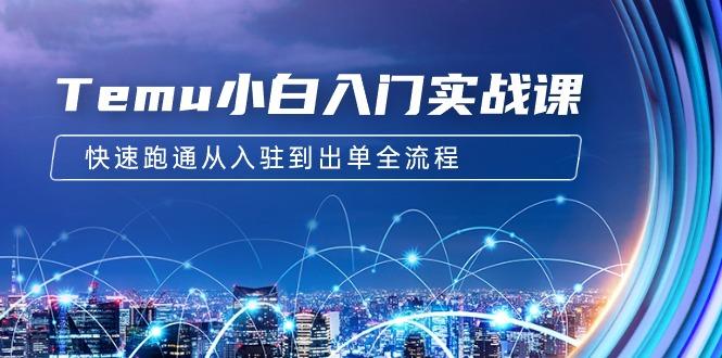(9295期)Temu小白入门实战课：跨境拼多多电商培训 快速跑通从入驻到出单全流程-12节-泡泡网赚