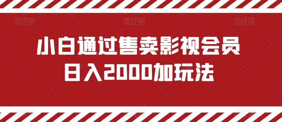 小白通过售卖影视会员日入2000加玩法-泡泡网赚