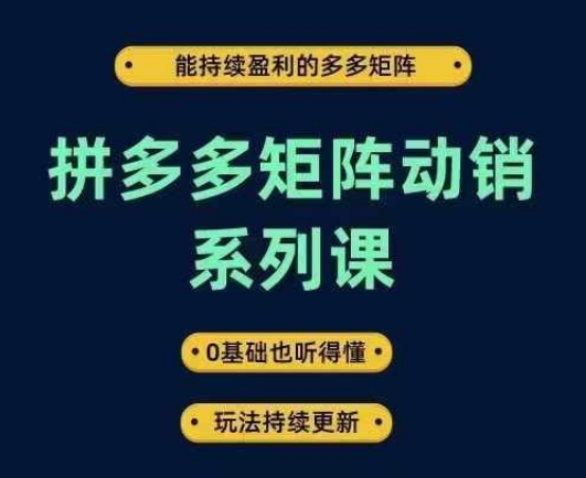 拼多多矩阵动销系列课，能持续盈利的多多矩阵，0基础也听得懂，玩法持续更新-泡泡网赚