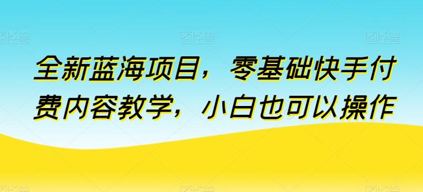 全新蓝海项目，零基础快手付费内容教学，小白也可以操作【揭秘】-泡泡网赚