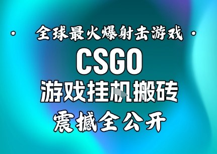 【年底大揭秘】基于全球最火爆的射击CSGO游戏挂G搬砖，日入5张+，震撼公开-泡泡网赚