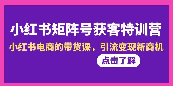 小红书-矩阵号获客特训营-第10期，小红书电商的带货课，引流变现新商机-泡泡网赚
