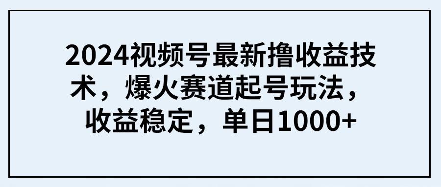 (9651期) 2024视频号最新撸收益技术，爆火赛道起号玩法，收益稳定，单日1000+-泡泡网赚