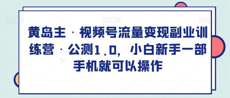 黄岛主·视频号流量变现副业训练营·公测1.0，小白新手一部手机就可以操作-泡泡网赚