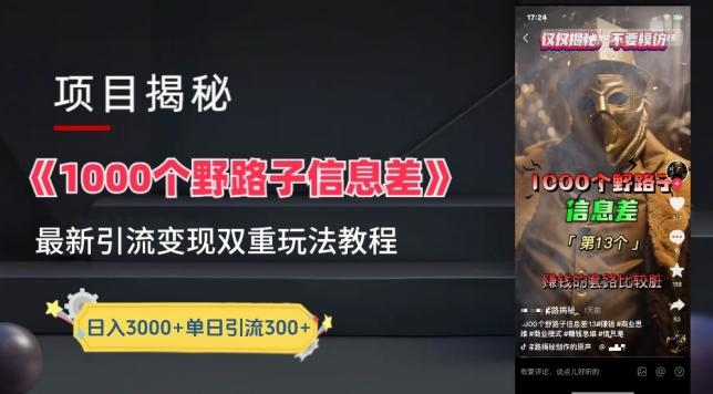 一千个野路子信息差最新玩法教程-变现+引流的玩法具体拆解【揭秘】-泡泡网赚