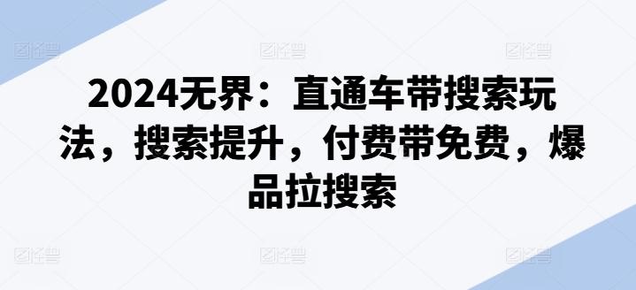 2024无界：直通车带搜索玩法，搜索提升，付费带免费，爆品拉搜索-泡泡网赚
