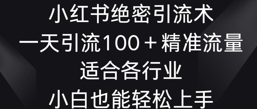 小红书绝密引流术，一天引流100+精准流量，适合各个行业，小白也能轻松上手【揭秘】-泡泡网赚