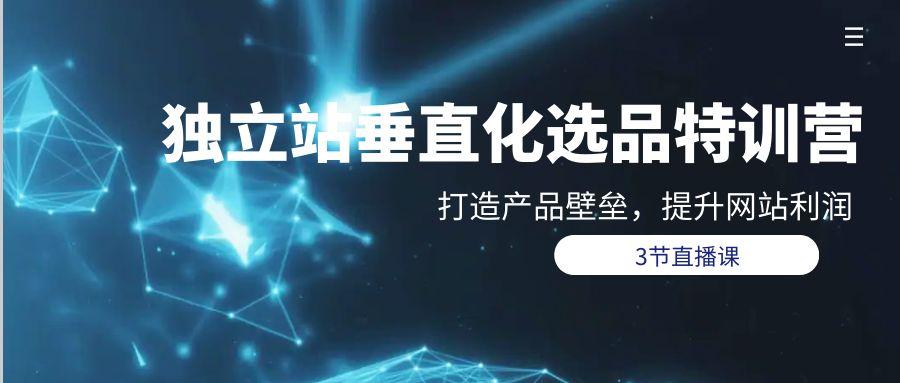 (9925期)独立站-垂直化选品训练营，打造产品壁垒，提升网站利润(3节直播课)-泡泡网赚