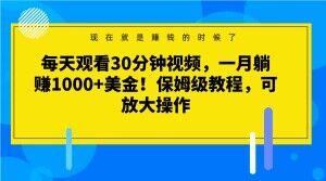每天观看30分钟视频，一月躺赚1000+美金！保姆级教程，可放大操作【揭秘】-泡泡网赚