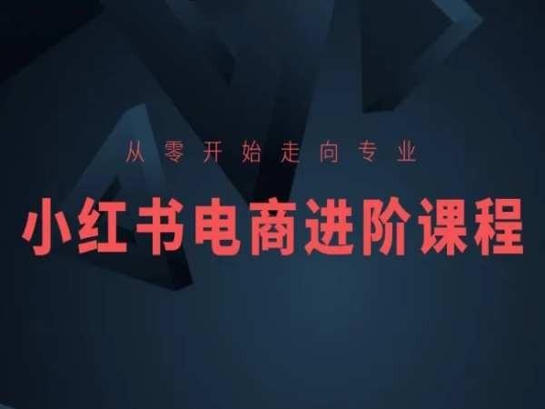 从零开始走向专业，小红书电商进阶课程-泡泡网赚