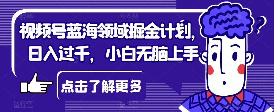 视频号蓝海领域掘金计划，日入过千，小白无脑上手【揭秘】-泡泡网赚