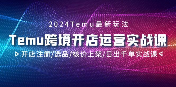 2024Temu跨境开店运营实战课，开店注册/选品/核价上架/日出千单实战课-泡泡网赚