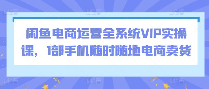 闲鱼电商运营全系统VIP实操课，1部手机随时随地电商卖货-泡泡网赚