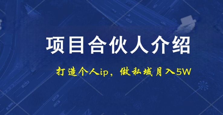 项目合伙人项目，打造个人IP，做私域月入5W，小白勿扰-泡泡网赚