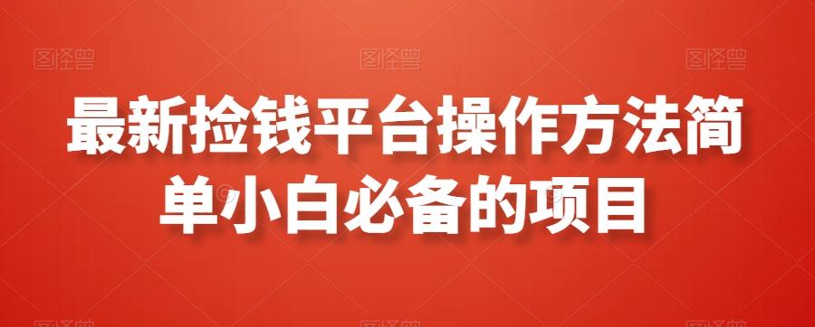 最新捡钱平台操作方法简单小白必备的项目-泡泡网赚