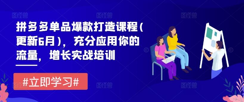 拼多多单品爆款打造课程(更新6月)，充分应用你的流量，增长实战培训-泡泡网赚