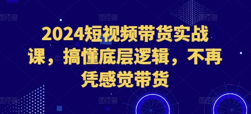 2024短视频带货实战课，搞懂底层逻辑，不再凭感觉带货-泡泡网赚