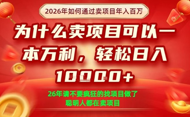 一单净利润1K+，26年想年入100个W，死磕卖项目就够了【揭秘】-泡泡网赚