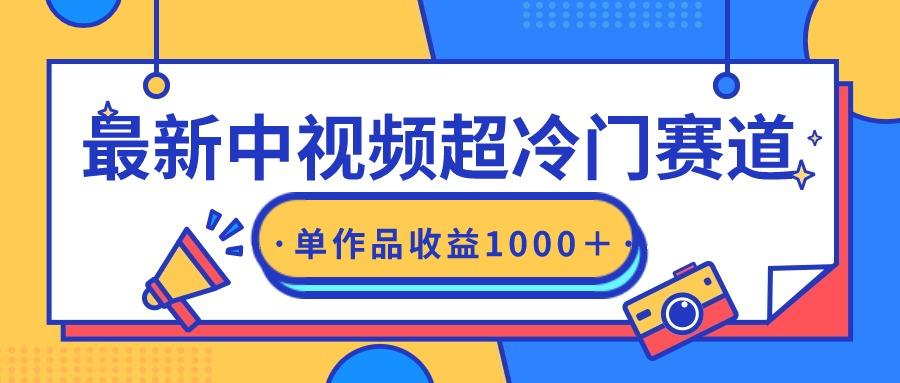(9275期)最新中视频超冷门赛道，轻松过原创，单条视频收益1000＋-泡泡网赚