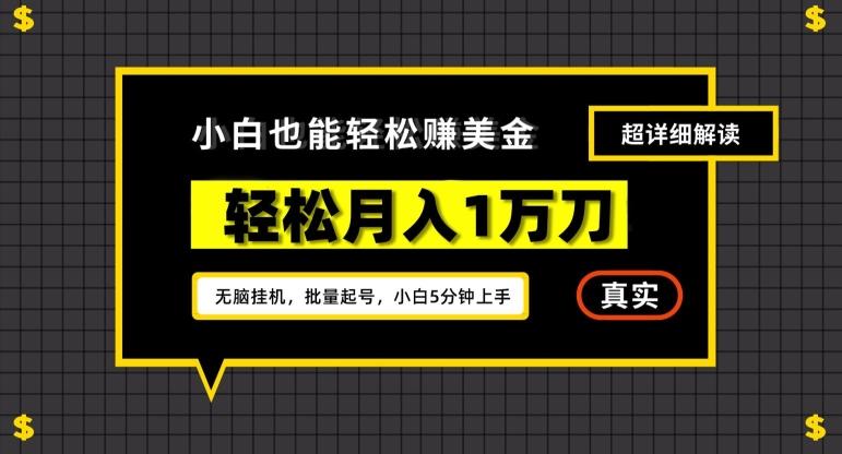 谷歌看广告撸美金2.0，无脑挂机，多号操作，月入1万刀【揭秘】-泡泡网赚