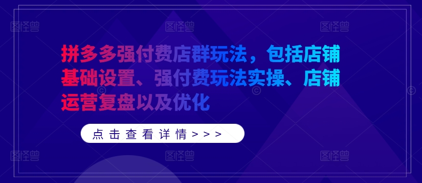 拼多多强付费店群玩法，包括店铺基础设置、强付费玩法实操、店铺运营复盘以及优化-泡泡网赚