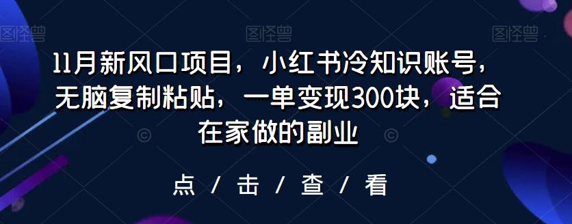 11月新风口项目，小红书冷知识账号，无脑复制粘贴，一单变现300块，适合在家做的副业-泡泡网赚