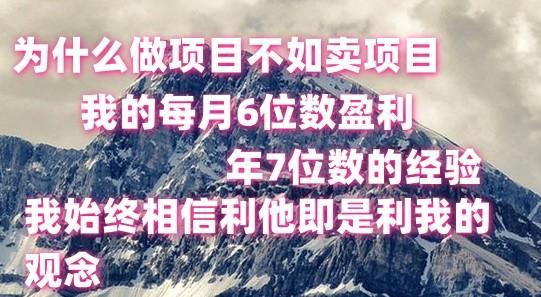 做项目不如卖项目，每月6位数盈利，年7位数经验-泡泡网赚