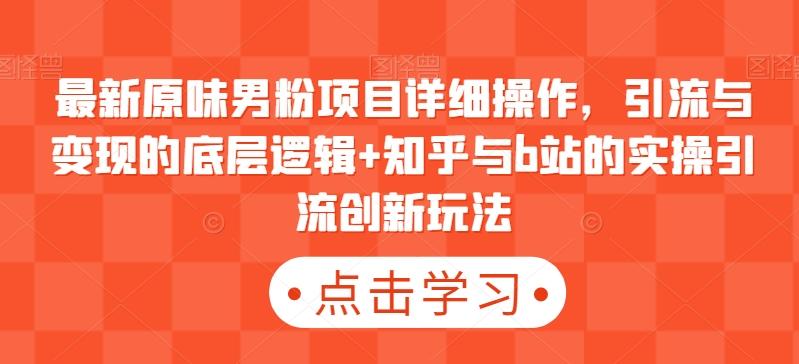 最新原味男粉项目详细操作，引流与变现的底层逻辑+知乎与b站的实操引流创新玩法-泡泡网赚