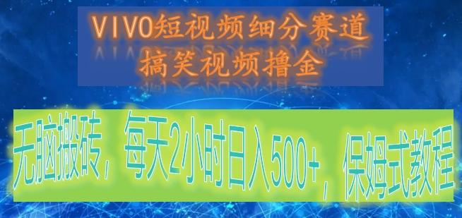 VIVO短视频细分赛道，搞笑视频撸金，无脑搬砖，每天2小时日入500+，保姆式教程-泡泡网赚