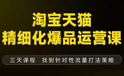 猫课子幽·淘宝天猫精细化爆品运营【音频+字幕+文档】(9月12-14杭州线下课)-泡泡网赚