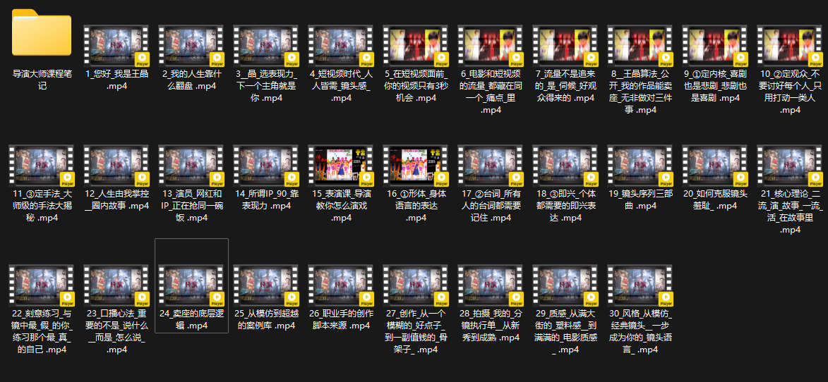 王晶大师课：流量破局-人生由我掌控-泡泡网赚