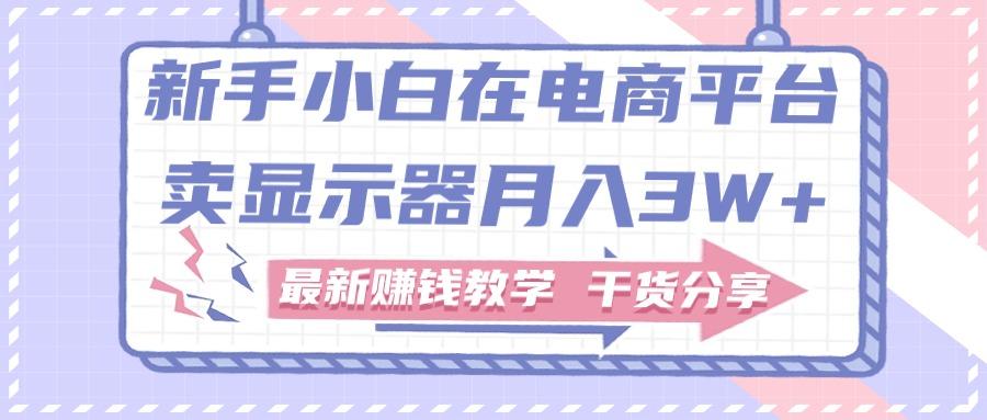 新手小白如何做到在电商平台卖显示器月入3W+，最新赚钱教学干货分享-泡泡网赚