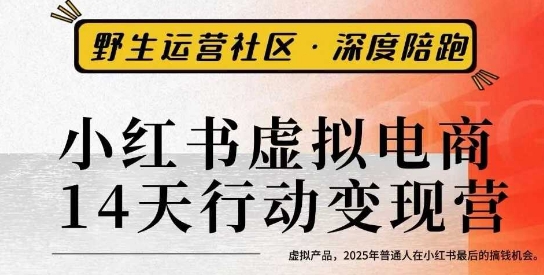 小红书虚拟电商14天变现训练营3.0，虚拟产品，2025年普通人在小红书最后的搞钱机会-泡泡网赚