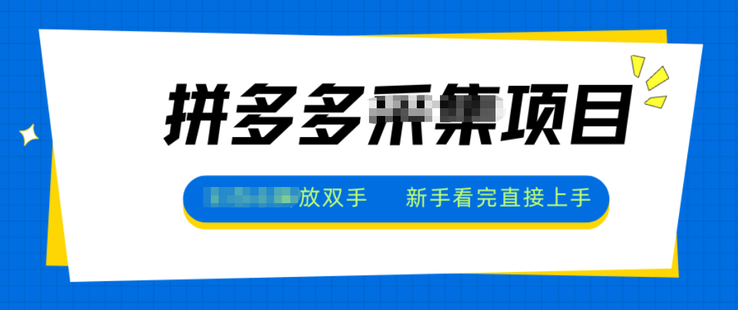 拼多多电商采集，一小时50+，操作简单，零投资-泡泡网赚