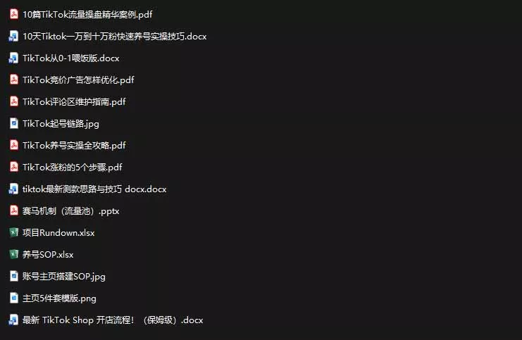 2026TikTok海外掘金实战课——养号SOP+爆款公式+选品测款+广告投流+Shop开店，跑通海外运营全链路-泡泡网赚