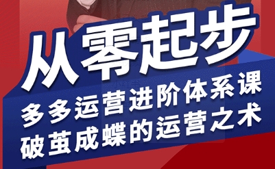 拼多多运营进阶系统课，从零起步，多多运营进阶体系课，破茧成蝶的运营之术(更新9月)-泡泡网赚