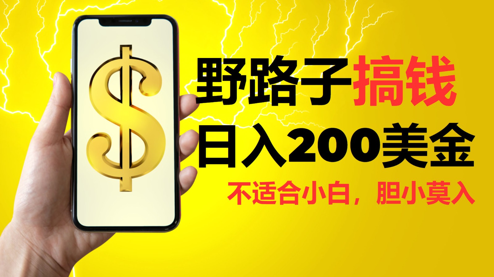 挂机野路子搞钱，日入200美金，路子很野，小白莫入-泡泡网赚