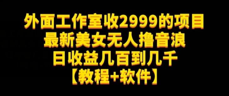 外面工作室收2999的项目最新美女无人撸音浪日收益几百到几千【教程+软件】（仅揭秘）-泡泡网赚
