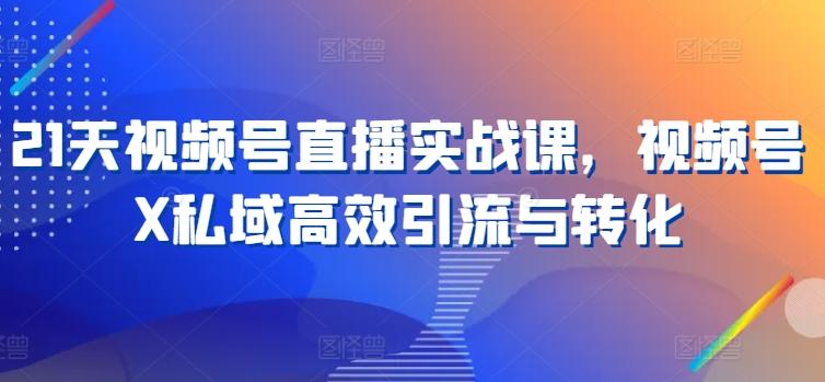 21天视频号直播实战课，视频号X私域高效引流与转化-泡泡网赚