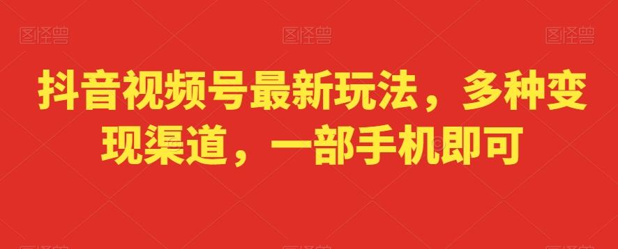 抖音视频号最新玩法，多种变现渠道，一部手机即可-泡泡网赚